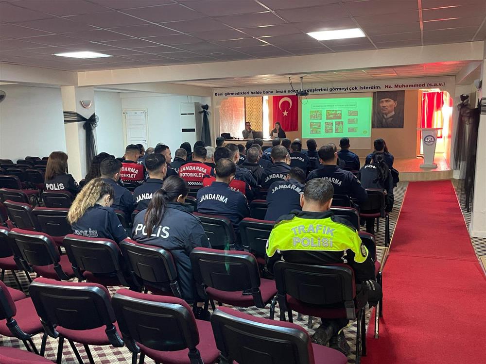 Kültürel Mirasın Korunması 3.jpg